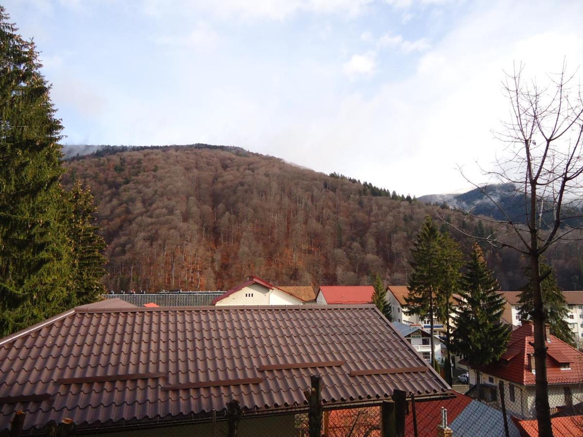 Vila Casa Serban Sinaia Exteriér fotografie