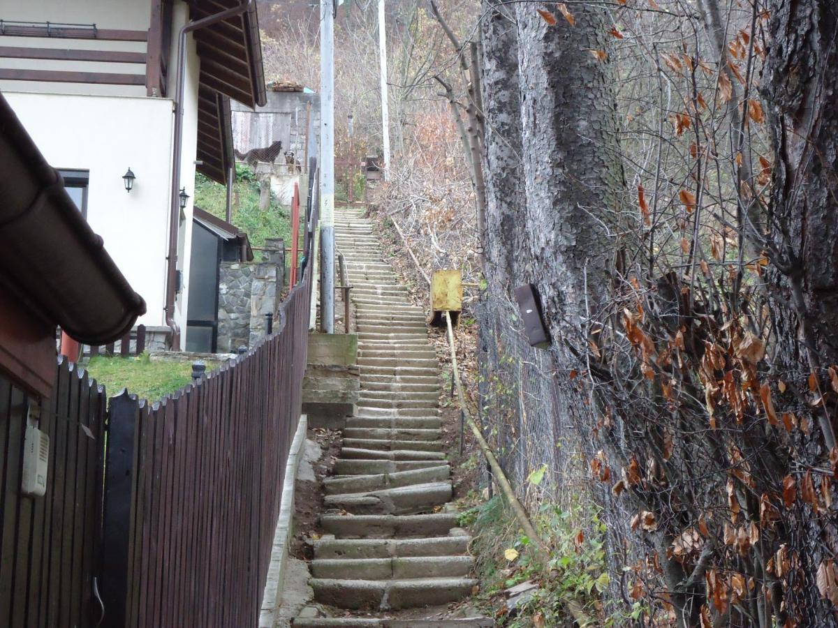 Vila Casa Serban Sinaia Exteriér fotografie