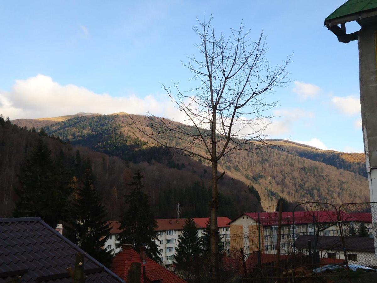 Vila Casa Serban Sinaia Exteriér fotografie