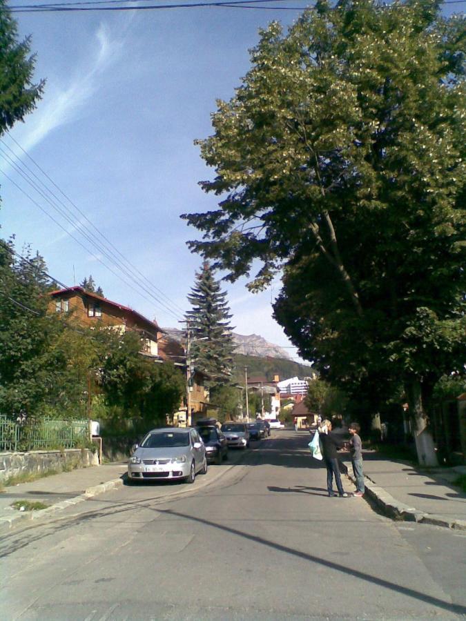 Vila Casa Serban Sinaia Exteriér fotografie