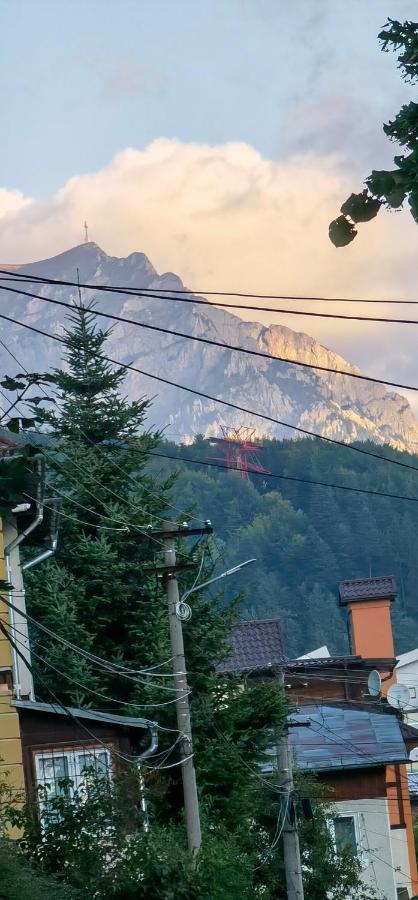 Vila Casa Serban Sinaia Exteriér fotografie