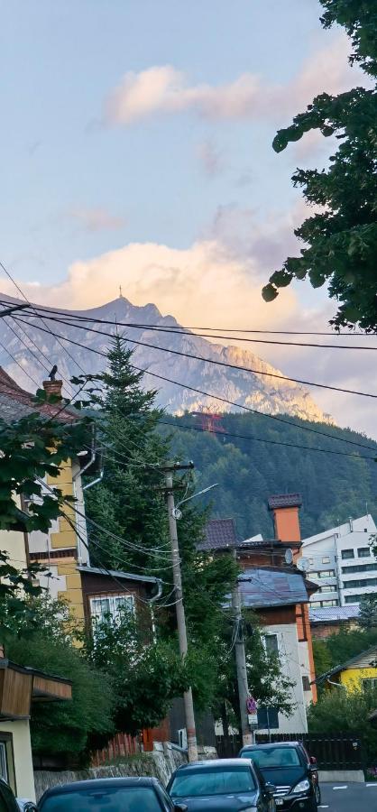 Vila Casa Serban Sinaia Exteriér fotografie