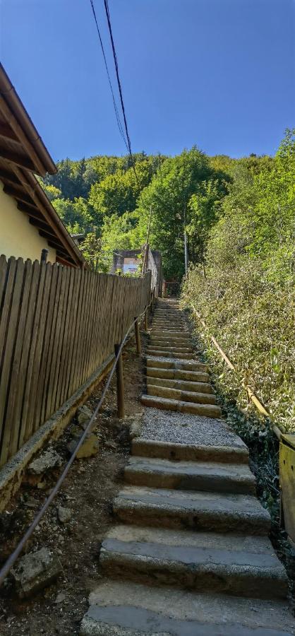 Vila Casa Serban Sinaia Exteriér fotografie